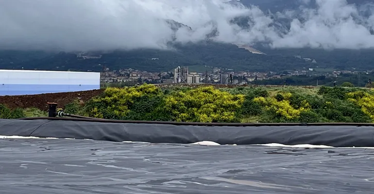 Calamita-Sanna-Colle_Fagiolara-1