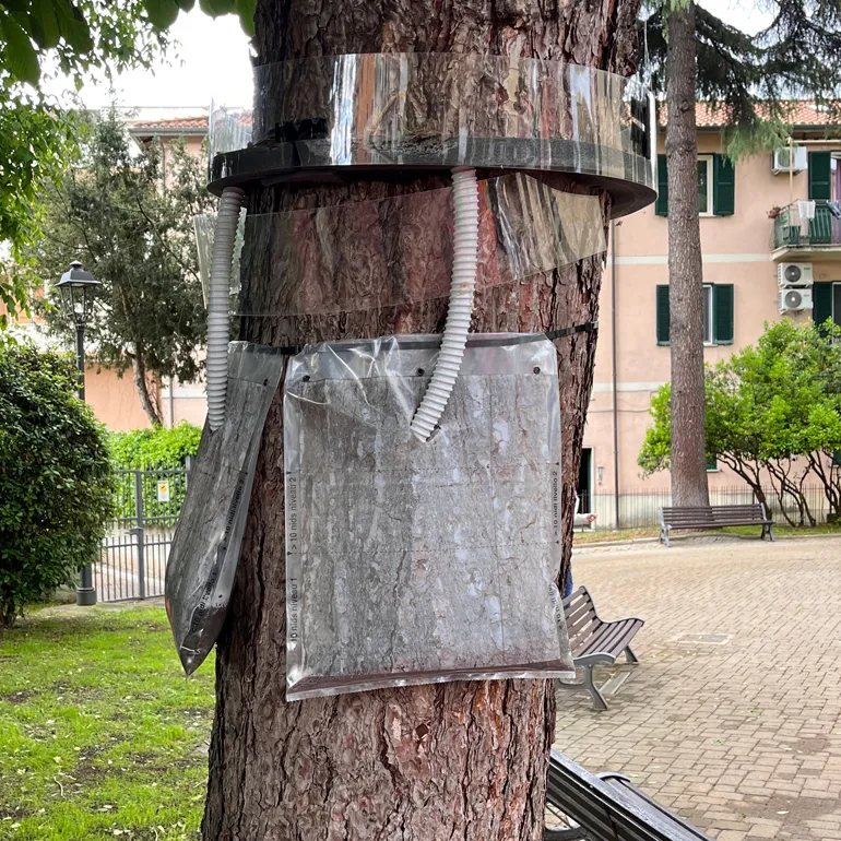 Colleferro_-Inaugurazione-Giochi_bimbi-Giardino_Rosciani-q-14