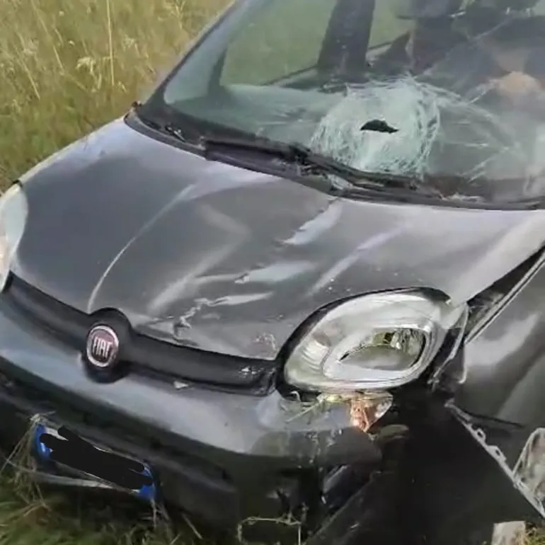 Incidente-Via_Carpinetana-Segni-Km3-900-20250513-q-1