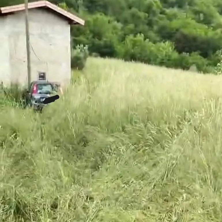 Incidente-Via_Carpinetana-Segni-Km3-900-20250513-q-3