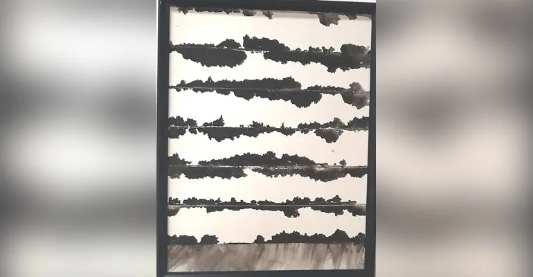 Opera di Patrizia Ghirardelli