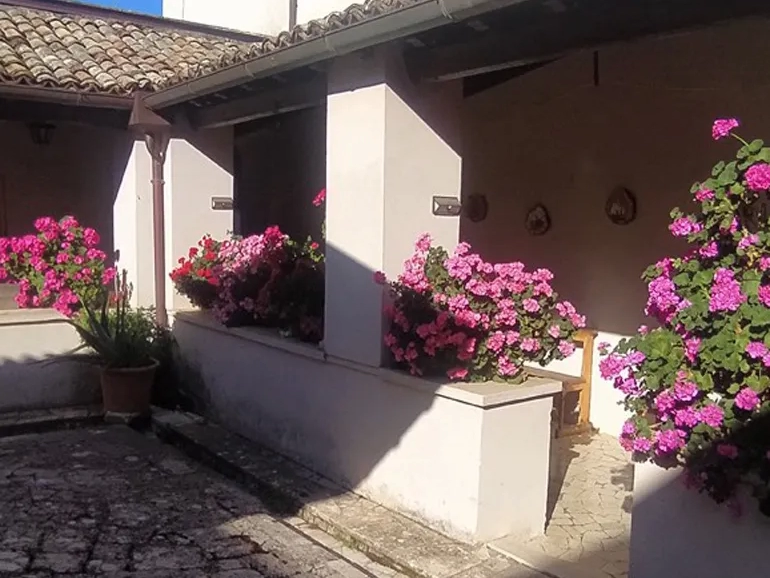 Segni-Concerto-Note_dal_bosco-578-2