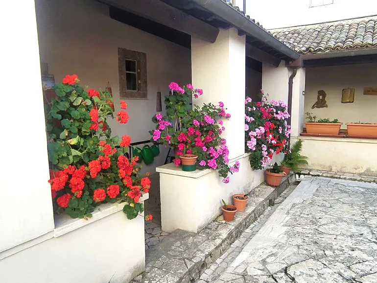 Segni-Concerto-Note_dal_bosco-578-4