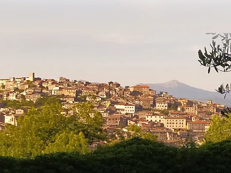 Segni-Concerto-Note_dal_bosco-578-40