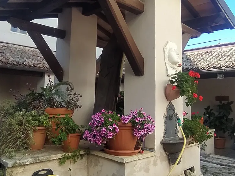 Segni-Concerto-Note_dal_bosco-578-5