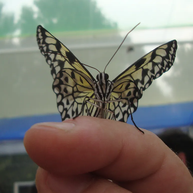 Colleferro-Inaugurazione-Parco_Fluviale-Casa-delle-Farfalle-q-33