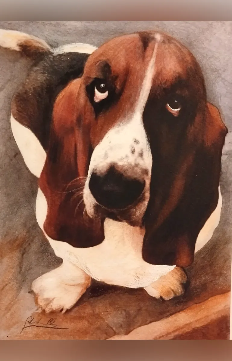 Colleferro-Personale_Ghidini-770-11