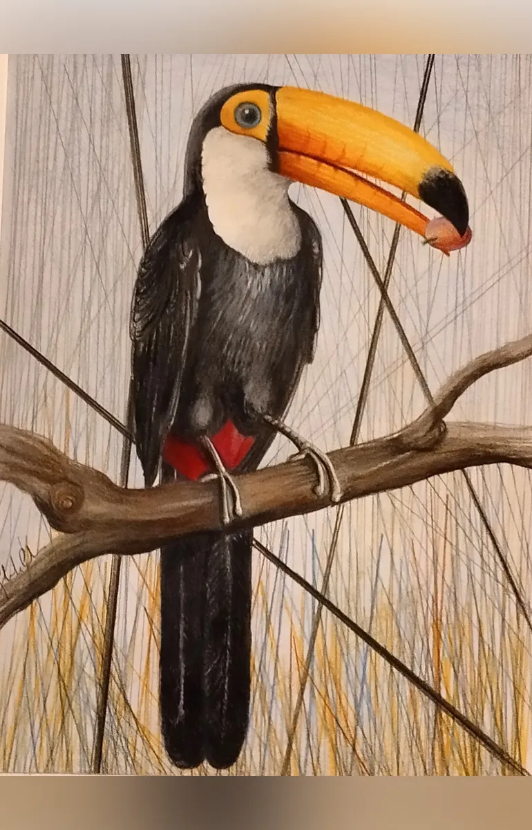 Colleferro-Personale_Ghidini-770-12