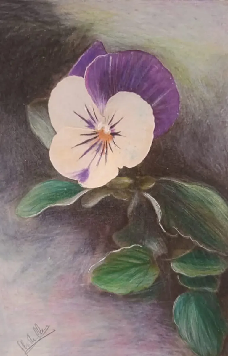 Colleferro-Personale_Ghidini-770-4