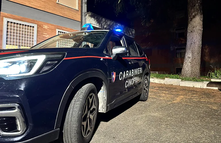 L’operazione dei Carabinieri di Velletri (4)