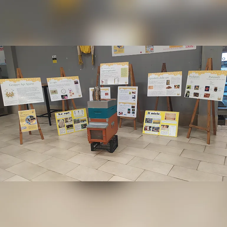 Colleferro-Mercato_Coperto-Sapori-Tradizioni-19