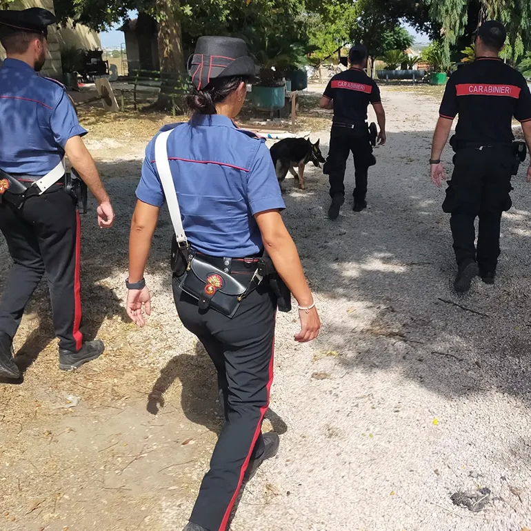 PROVINCIALE – Controlli antidroga dei Carabinieri q(3)
