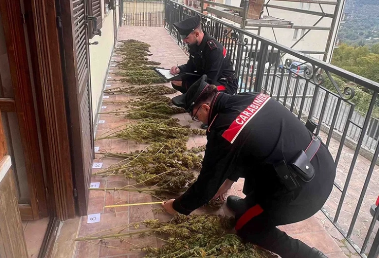 Carabinieri-Colleferro-marijuana-Carpineto-01