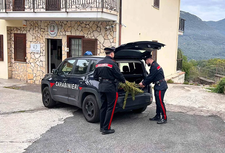 Carabinieri-Colleferro-marijuana-Carpineto-02
