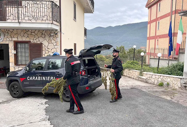 Carabinieri-Colleferro-marijuana-Carpineto-03