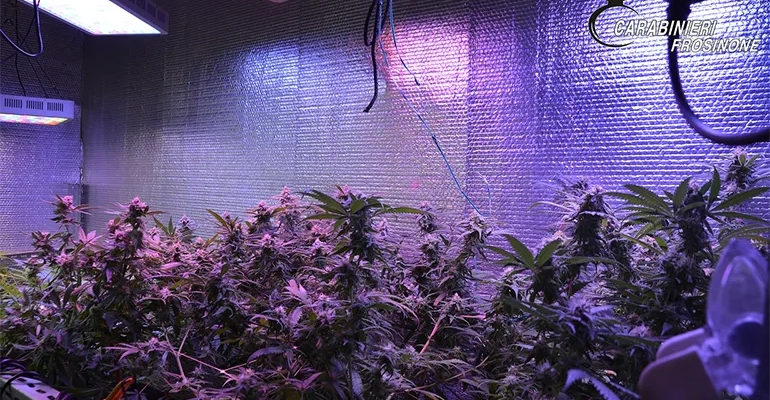 Carabinieri-SERRA VEROLI