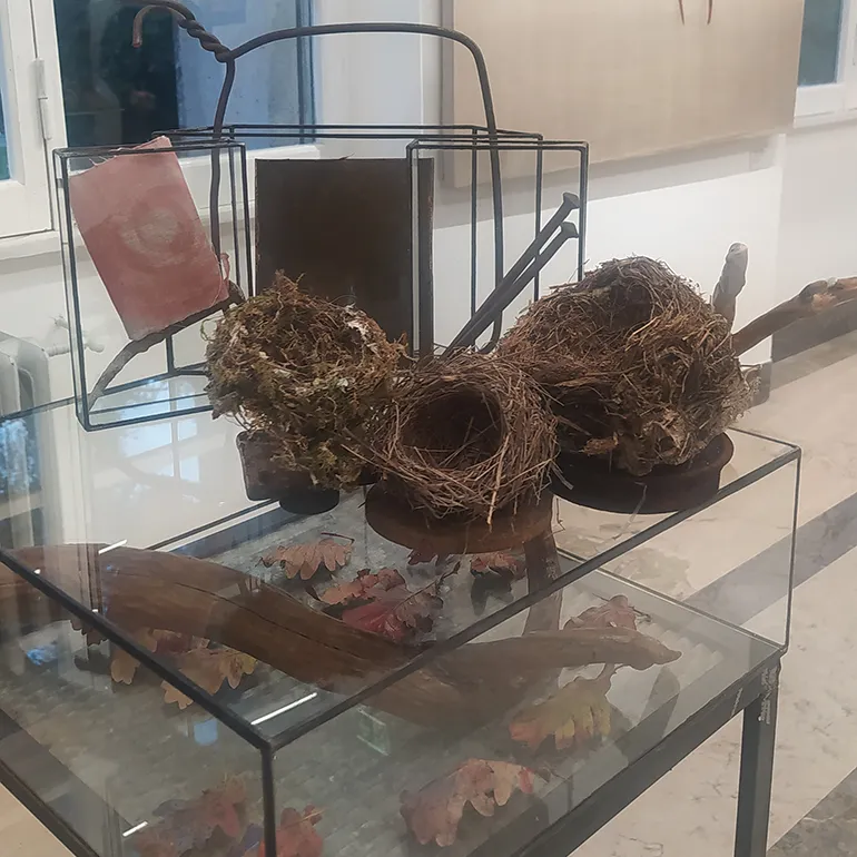 Colleferro-Inaugurazione_Mostra_Arte-Modus_Naturae-q-22