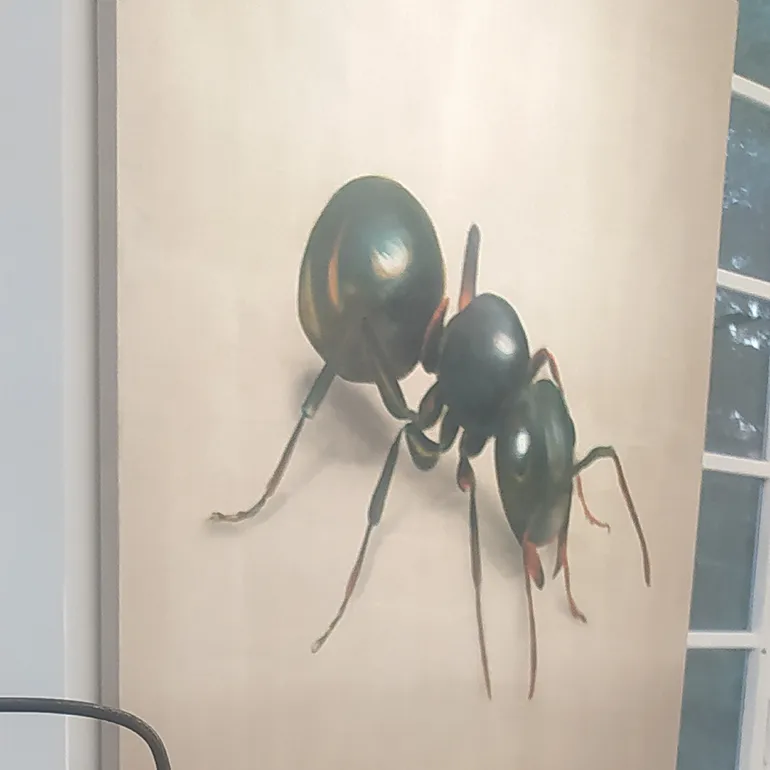 Colleferro-Inaugurazione_Mostra_Arte-Modus_Naturae-q-23