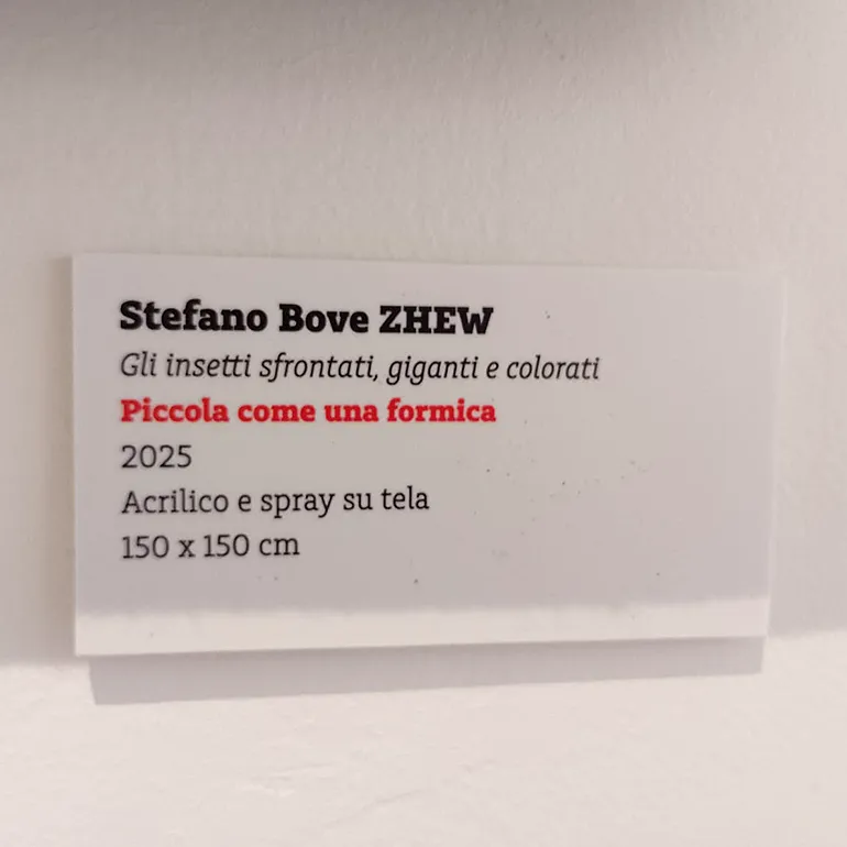 Colleferro-Mostra-Modus_Naturae-Leonardo-14