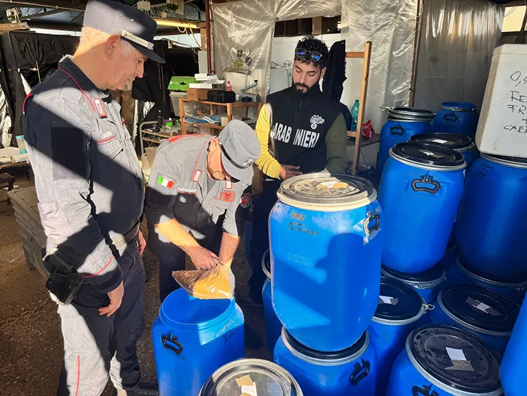 CASTEL GANDOLFO – La droga sequestrata dai Carabinieri di Castel Gandolfo (3)