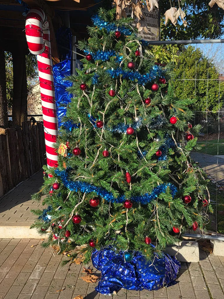 Colleferro-Presepe_Slitta-Colle_S_Antonino-v-2