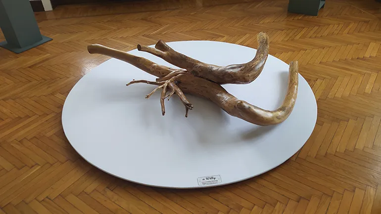 Collefderro-Giornata_del_Rispetto-Parole_O_Stili-40