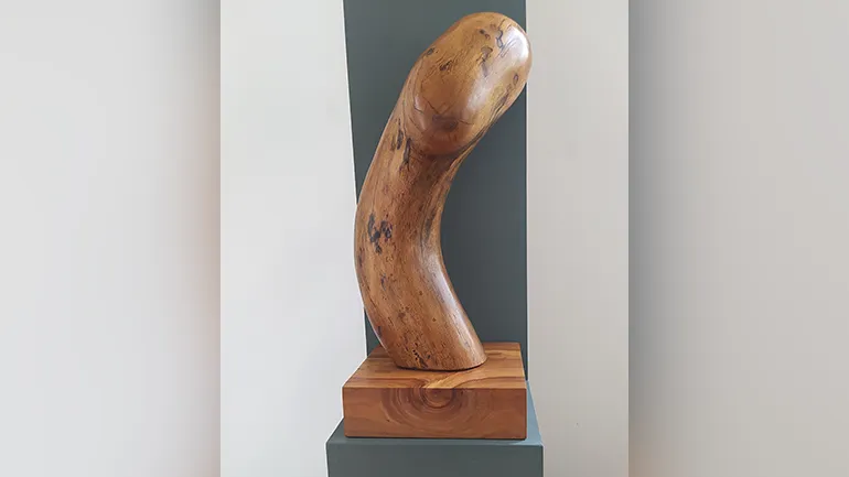 Collefderro-Giornata_del_Rispetto-Parole_O_Stili-43