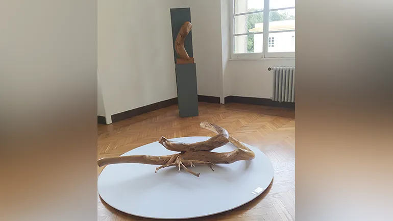 Collefderro-Giornata_del_Rispetto-Parole_O_Stili-44