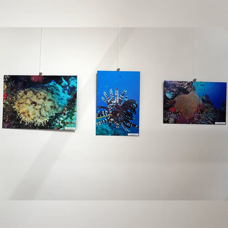 Colleferro-Inaugurazione-mostra-Caratelli-Neccia-1