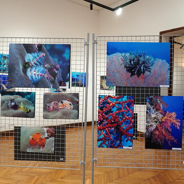 Colleferro-Inaugurazione-mostra-Caratelli-Neccia-3