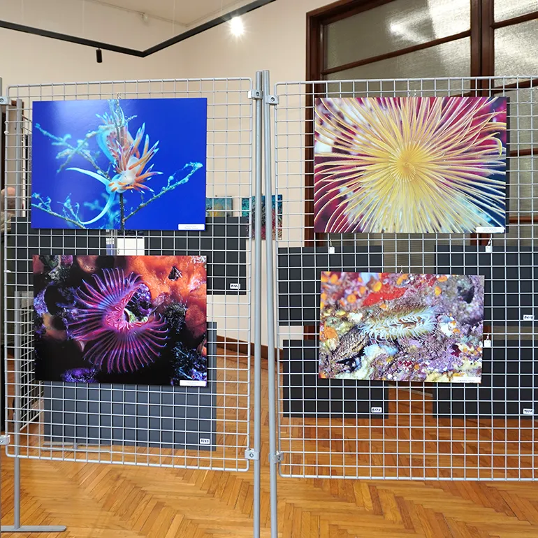Colleferro-Inaugurazione-mostra-Caratelli-Neccia-8