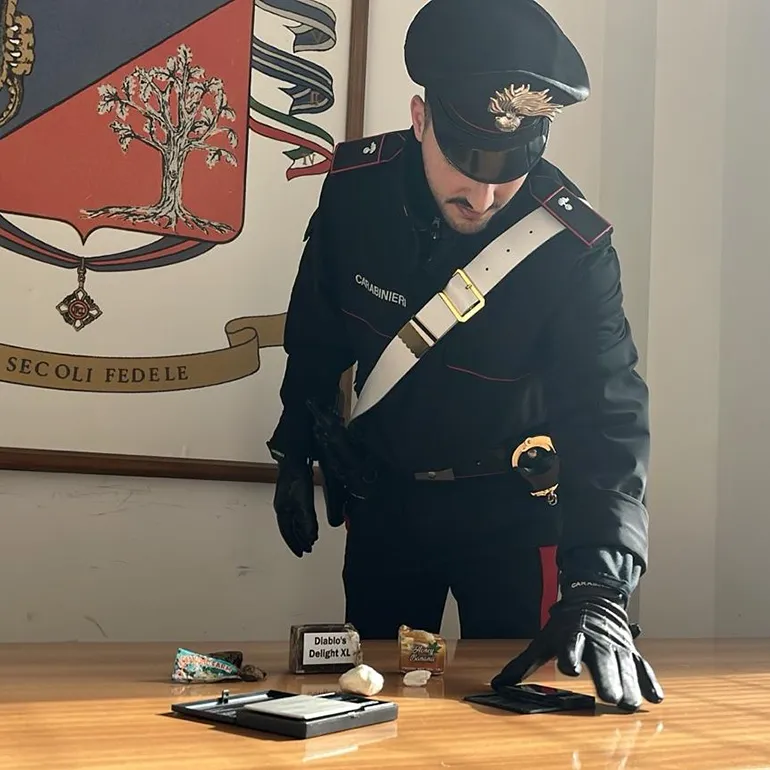 CIVITAVECCHIA – La droga sequestrata dai Carabinieri di Ladispoli (2)