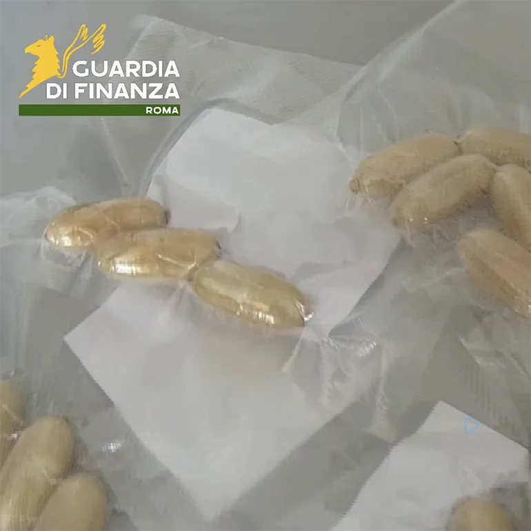 Fiumicino-ovuli_droga-GdF-q-01