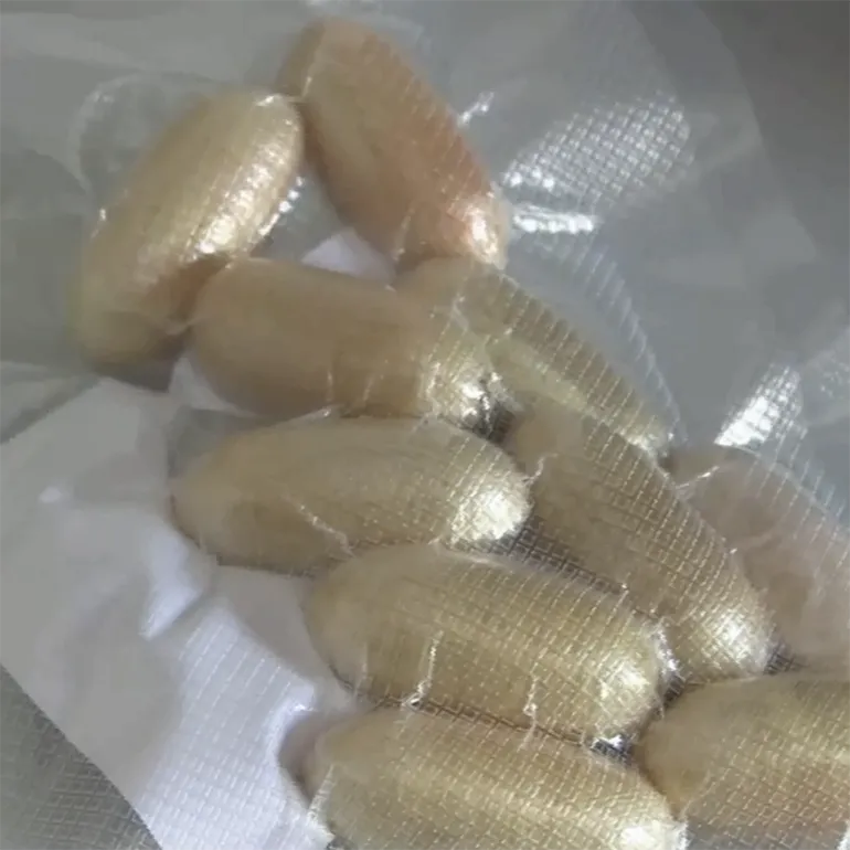 Fiumicino-ovuli_droga-GdF-q-03