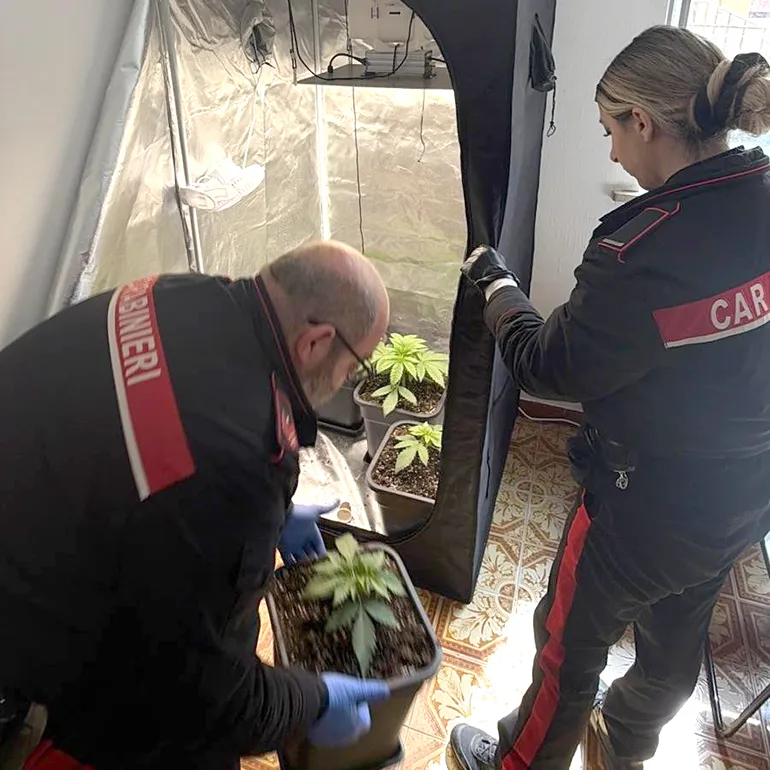 CASTEL GANDOLFO – La droga e il materiale sequestrati dai Carabinieri a Genzano di Roma (1)