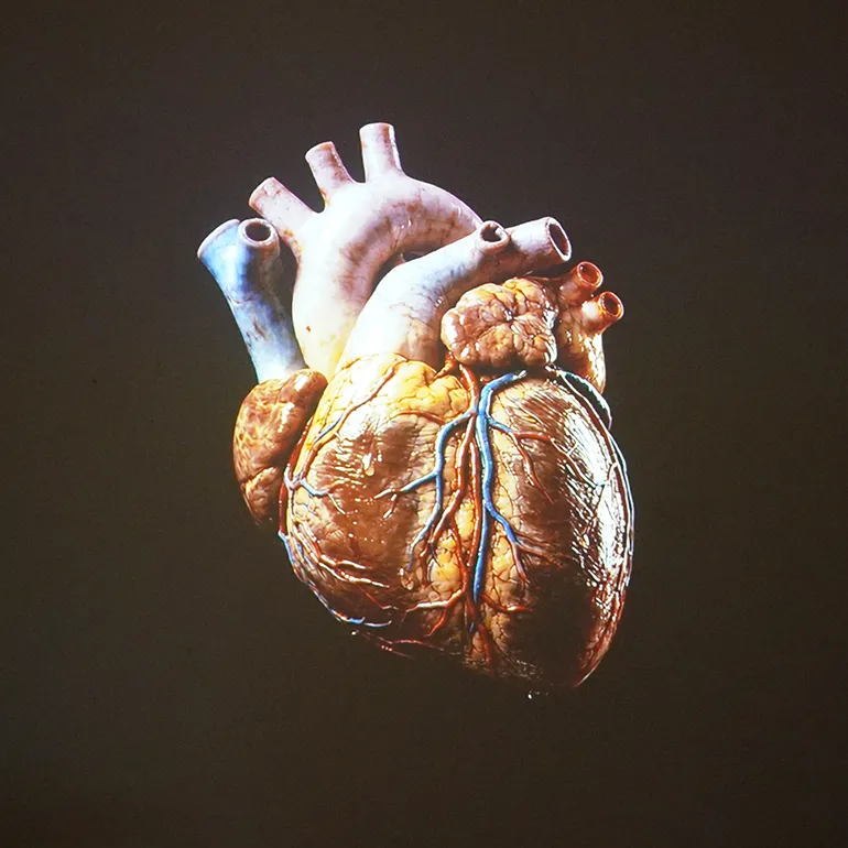 Colleferro-Mostra-Our_Colors-5