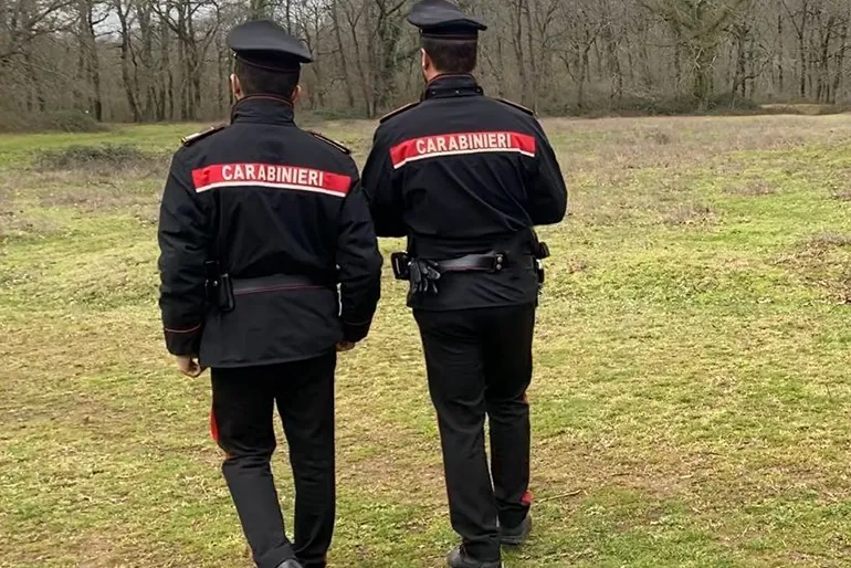 POMEZIA – Le attività dei Carabinieri (1)