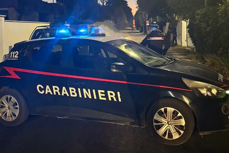 POMEZIA – Le attività dei Carabinieri (2)