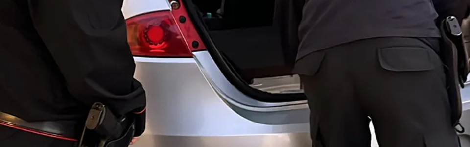 PROVINCIALE – Controlli antidroga dei Carabinieri (1)