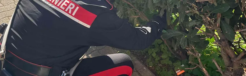 PROVINCIALE – Controlli antidroga dei Carabinieri (3)
